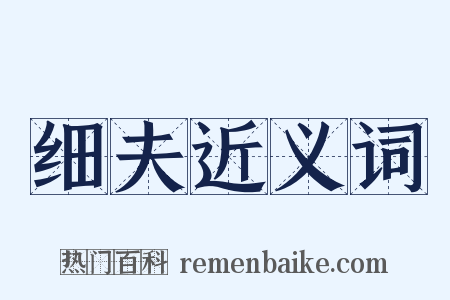 细夫近义词是什么意思的图片